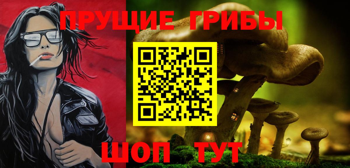 Комсомольск-на-Амуре  Псилоцибиновые грибы мицелий  Вход с VPN 