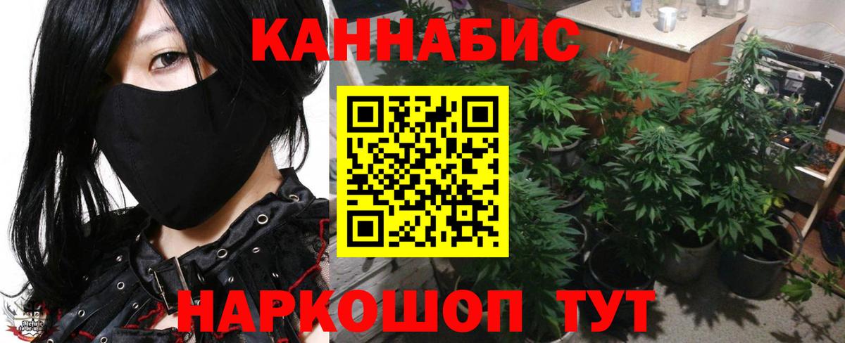 Конопля сатива Комсомольск-на-Амуре